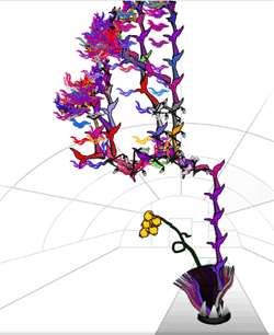Ameby Honey Bun Flower 2005