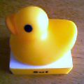 光るDucky