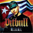 Pitbull Miami