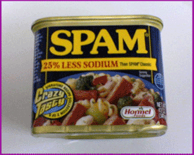 Spam Itself